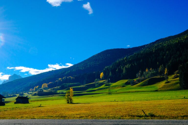 Pathway near the grassy field and forested mountain with blue sky in the background