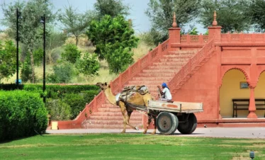 Pulse of Rajasthan